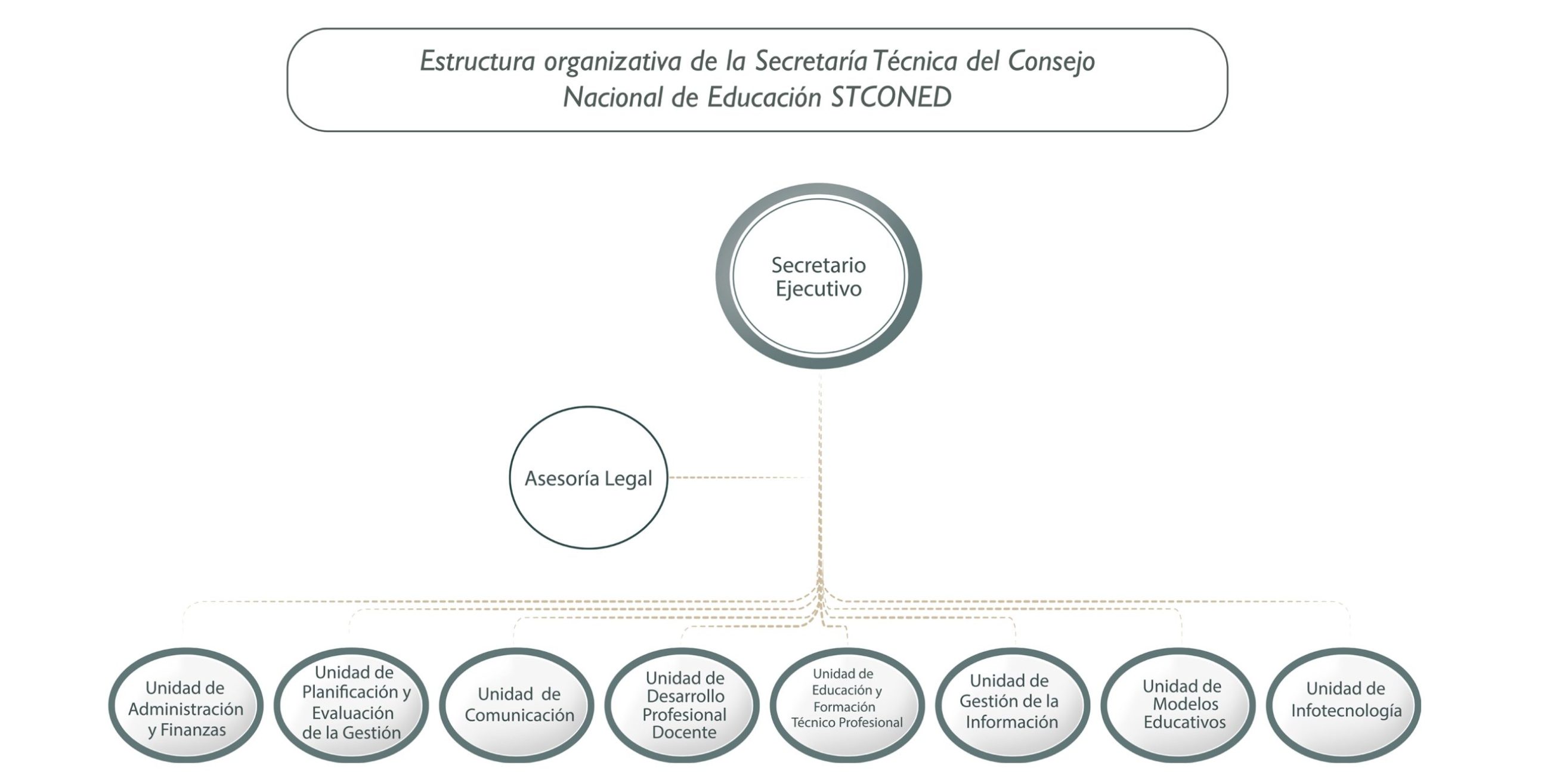 ORGANIGRAMA CONED ORGANIGRAMA CONED